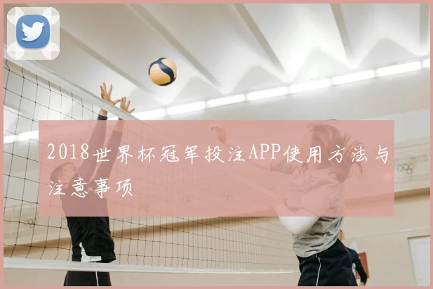 2018世界杯冠军投注APP使用方法与注意事项
