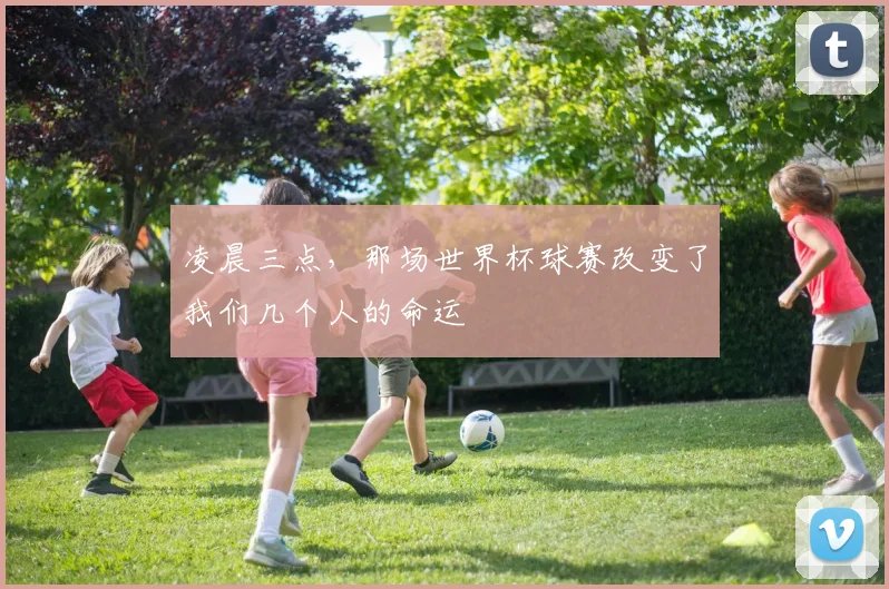 凌晨三点,那场世界杯球赛改变了我们几个人的命运