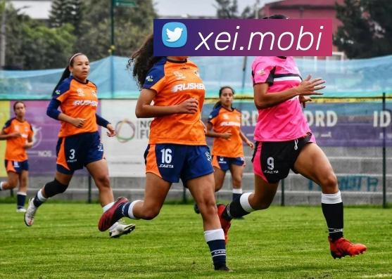 开云网页版·官方版在线登入 - 开云(中国)服务体系