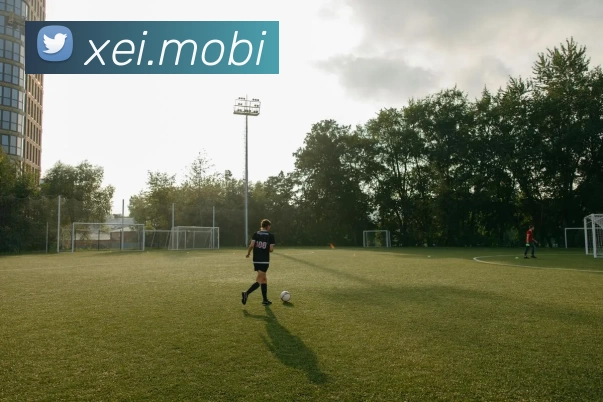 多媒体互动体验