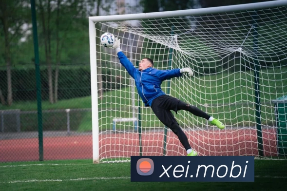 开云网页版·官方版在线登入 - 开云(中国)APP 体育赛事宣传图